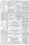Pall Mall Gazette Saturday 12 July 1873 Page 15