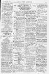 Pall Mall Gazette Friday 06 November 1874 Page 15