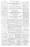 Pall Mall Gazette Saturday 06 February 1875 Page 15