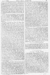 Pall Mall Gazette Monday 02 August 1875 Page 13