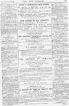 Pall Mall Gazette Tuesday 15 February 1876 Page 15