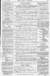 Pall Mall Gazette Friday 03 March 1876 Page 15