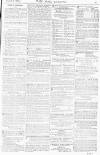 Pall Mall Gazette Monday 07 August 1876 Page 11