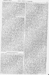 Pall Mall Gazette Thursday 08 February 1877 Page 11