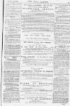Pall Mall Gazette Thursday 15 February 1877 Page 15