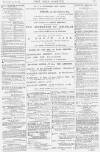 Pall Mall Gazette Tuesday 06 November 1877 Page 15