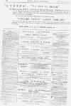 Pall Mall Gazette Tuesday 06 November 1877 Page 16