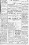 Pall Mall Gazette Monday 12 November 1877 Page 11