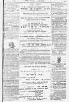 Pall Mall Gazette Tuesday 01 January 1878 Page 15