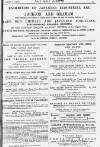Pall Mall Gazette Thursday 03 January 1878 Page 13