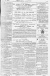 Pall Mall Gazette Wednesday 16 January 1878 Page 15