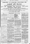 Pall Mall Gazette Wednesday 13 February 1878 Page 13