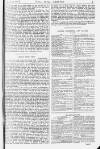 Pall Mall Gazette Wednesday 10 April 1878 Page 5