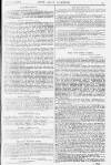 Pall Mall Gazette Thursday 11 April 1878 Page 9