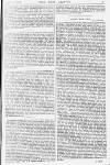 Pall Mall Gazette Friday 12 April 1878 Page 5