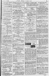 Pall Mall Gazette Sunday 02 February 1879 Page 15
