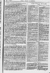 Pall Mall Gazette Tuesday 01 July 1879 Page 3