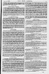 Pall Mall Gazette Tuesday 15 July 1879 Page 7