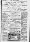 Pall Mall Gazette Saturday 30 August 1879 Page 13