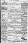 Pall Mall Gazette Tuesday 02 September 1879 Page 11