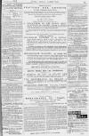 Pall Mall Gazette Friday 02 January 1880 Page 15