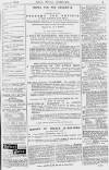 Pall Mall Gazette Tuesday 27 January 1880 Page 15