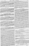 Pall Mall Gazette Tuesday 03 February 1880 Page 7