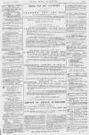 Pall Mall Gazette Friday 06 February 1880 Page 15