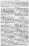 Pall Mall Gazette Friday 13 February 1880 Page 11