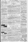Pall Mall Gazette Thursday 19 February 1880 Page 15