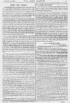 Pall Mall Gazette Friday 20 February 1880 Page 9