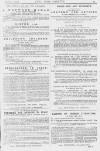 Pall Mall Gazette Monday 01 March 1880 Page 15