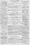 Pall Mall Gazette Tuesday 02 March 1880 Page 15