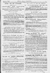 Pall Mall Gazette Thursday 04 March 1880 Page 15