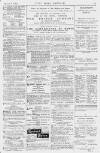 Pall Mall Gazette Saturday 06 March 1880 Page 15