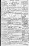 Pall Mall Gazette Thursday 29 April 1880 Page 15