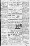 Pall Mall Gazette Monday 17 May 1880 Page 11
