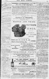 Pall Mall Gazette Saturday 10 July 1880 Page 13