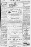 Pall Mall Gazette Friday 23 July 1880 Page 13