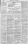 Pall Mall Gazette Thursday 29 July 1880 Page 13