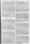 Pall Mall Gazette Wednesday 11 August 1880 Page 3