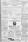 Pall Mall Gazette Tuesday 24 August 1880 Page 13