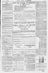 Pall Mall Gazette Thursday 16 September 1880 Page 13