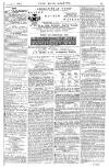 Pall Mall Gazette Friday 01 October 1880 Page 13