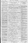 Pall Mall Gazette Monday 29 November 1880 Page 15