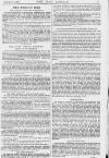 Pall Mall Gazette Monday 03 January 1881 Page 7