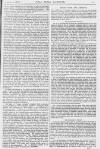 Pall Mall Gazette Monday 03 January 1881 Page 11
