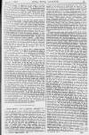 Pall Mall Gazette Wednesday 05 January 1881 Page 11