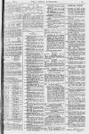 Pall Mall Gazette Wednesday 05 January 1881 Page 15