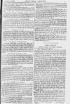 Pall Mall Gazette Thursday 06 January 1881 Page 3